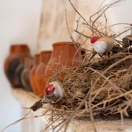 Villa Trulli Agaperia