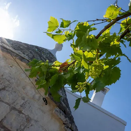 Вилла Trulli Agaperia